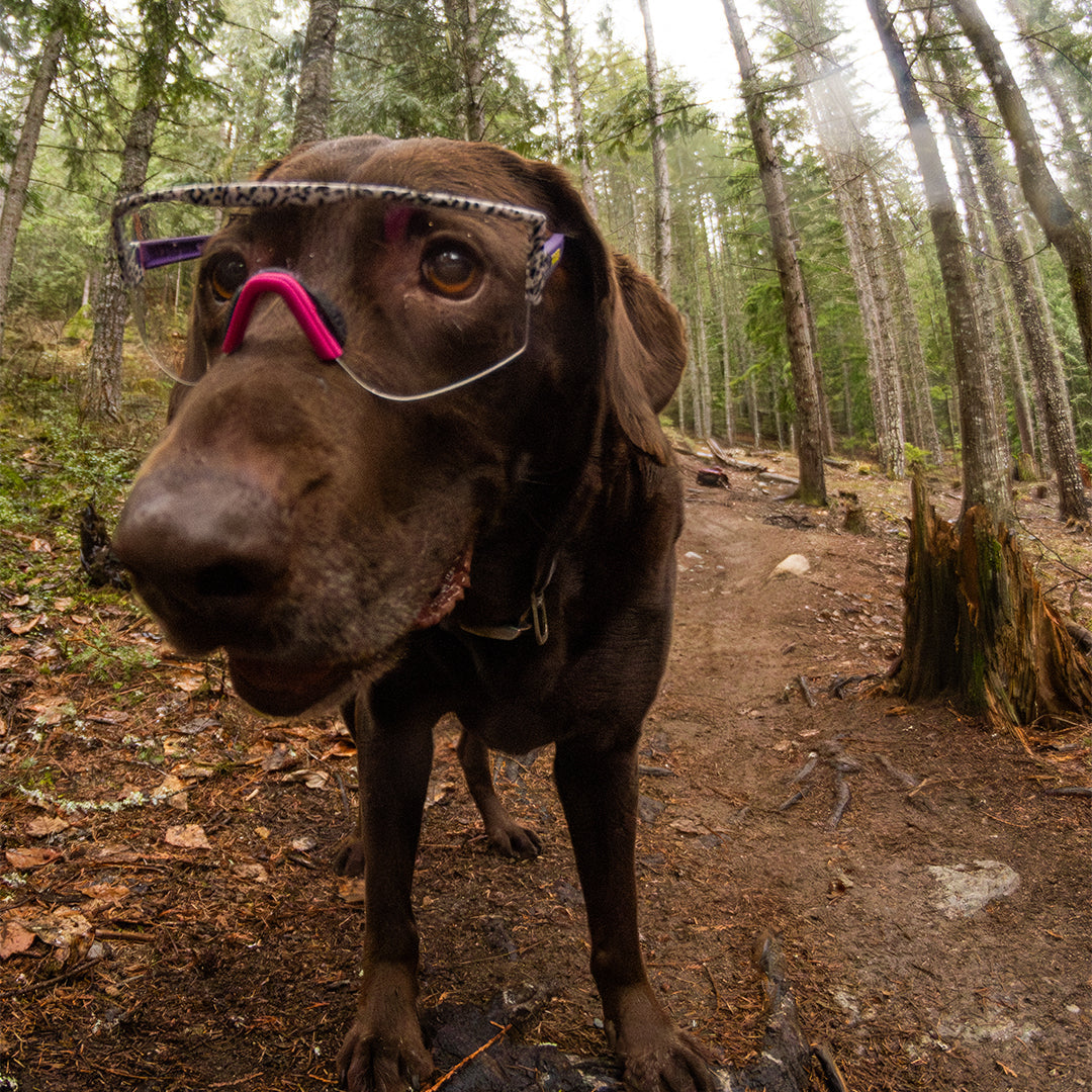 / Smoke | Man mountain biking in The Son Of Beach Try-Hard from Pit Viper Sunglasses